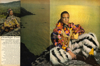 Penelope Tree by David Bailey (Vogue USA 1968.08)