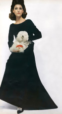 Benedetta Barzini by David Bailey (1964)