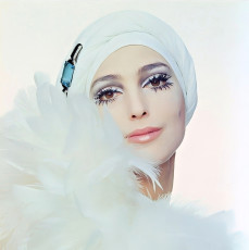 Benedetta Barzini by Gian Paolo Barbieri (1966)