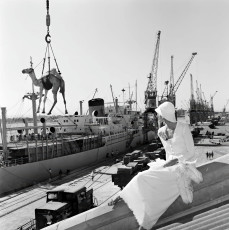 Jill Kennington by Gian Paolo Barbieri (1974)