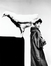 Simone d'Aillencourt by Guy Bourdin (1962)