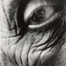 Bill Brandt (UK)