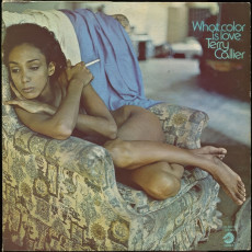 Terry Callier / WHAT COLOR IS LOVE (1972) - photo by Joel Brodsky