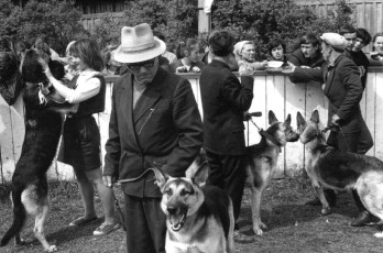 Yaroslavl. Dog Show by Henri Cartier-Bresson (1972)