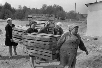 Yaroslavl. Novy Sever State Farm by Henri Cartier-Bresson (1972)