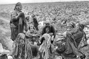 Turkmenistan, Ashgabat. Women relaxing in cabbage fields by Henri Cartier-Bresson (1972)