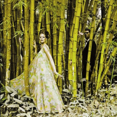 Veruschka by Henry Clarke (1965)