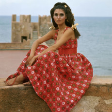 Benedetta Barzini by Henry Clarke (1967)