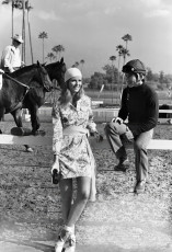 Cheryl Tiegs by Henry Clarke (1971)
