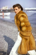Gia Carangi by Arthur Elgort (1978)