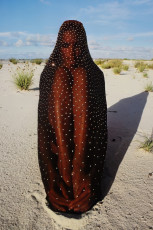 Apollonia van Ravenstein by Hans Feurer (1976)