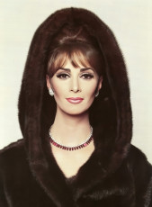 Wilhelmina Cooper by F.C. Gundlach (1964)