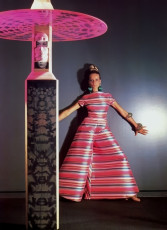 Veruschka by Horst P. Horst (1966)