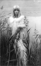 Nena von Schlebrugge by Horst P. Horst (1964)