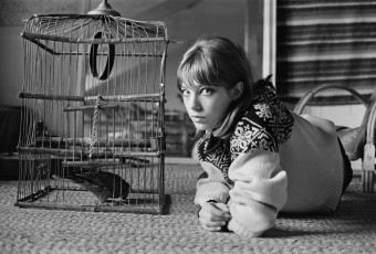Jane Birkin by Mike McKeown (1964)