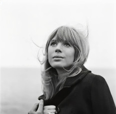 Marianne Faithfull by Terry Mealy (1965)