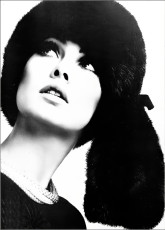 Jean Shrimpton by David Montgomery (1964)