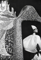 Mirella Petteni by Helmut Newton (1963)