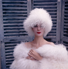 Nena von Schlebrugge by Norman Parkinson (1960)