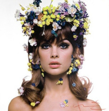 Jean Shrimpton by Irving Penn (1965)