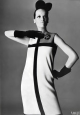 Veruschka by Irving Penn (1965)