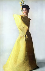 Benedetta Barzini by Irving Penn (1965)