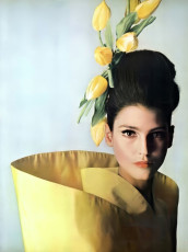 Benedetta Barzini by Irving Penn (1965)