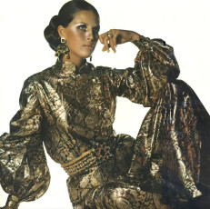 Birgitta af Klercker by Irving Penn (1968)