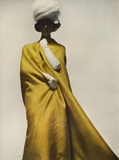 Wilhelmina Cooper by Irving Penn (1963)