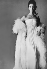 Wilhelmina Cooper by Irving Penn (1963)