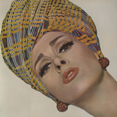 Wilhelmina Cooper by Irving Penn (1963)