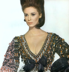 Wilhelmina Cooper by Irving Penn (1963)