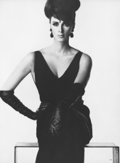 Wilhelmina Cooper by Irving Penn (1963)