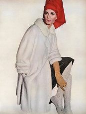 Wilhelmina Cooper by Irving Penn (1964)