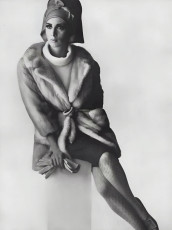 Wilhelmina Cooper by Irving Penn (1964)