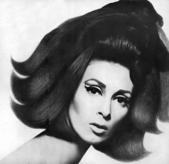 Wilhelmina Cooper by Irving Penn (1964)