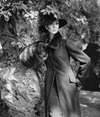 Wilhelmina Cooper by Philippe Pottier (1962)