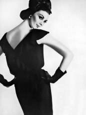 Wilhelmina Cooper by Karen Radkai (1962)