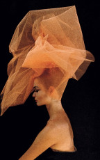 Celia Hammond by Peter Rand (1962)
