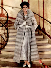 Wilhelmina Cooper by Hal Reiff (1964)