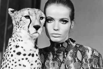 Veruschka by Franco Rubartelli (1967)