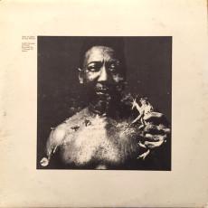 Muddy Waters / AFTER THE RAIN (1969) - photo by Victor Skrebneski