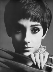 Beate Schulz by Victor Skrebneski (1967)