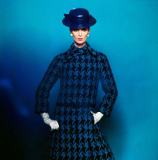 Wilhelmina Cooper by Bert Stern (1965)
