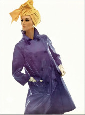 Wilhelmina Cooper by Bert Stern (1965)