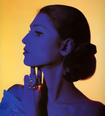 Benedetta Barzini by Bert Stern (1963)
