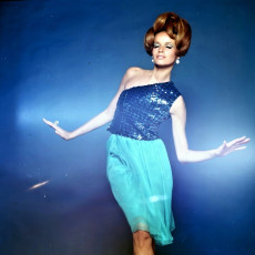 Veruschka by Bert Stern (1965)