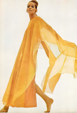 Veruschka by Bert Stern (1966)