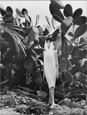 Jennifer Hocking by Michael Williams (1962)