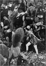 Jennifer Hocking by Michael Williams (1962)